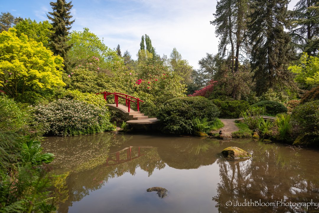 Red bridge reflected in a garden pond
